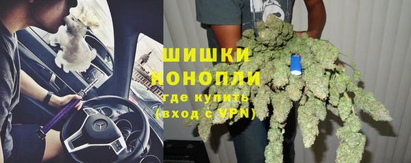 сатива Абаза