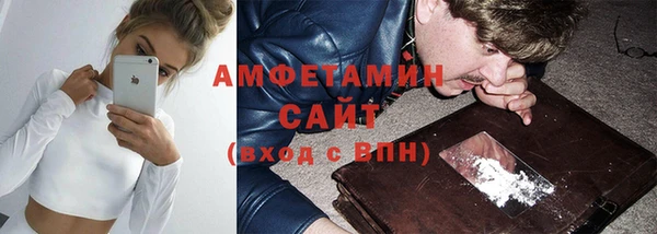 сатива Абаза