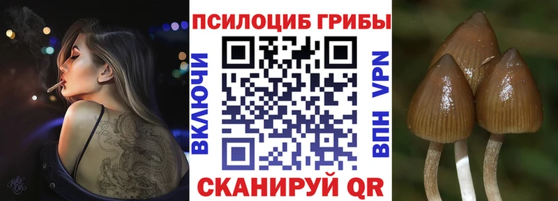 Псилоцибиновые грибы Psilocybine cubensis  продажа наркотиков  Клинцы 